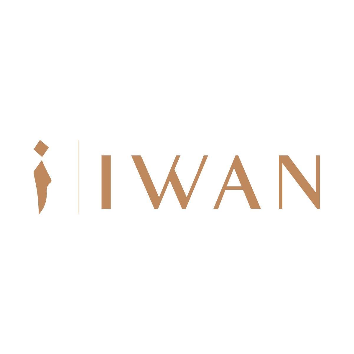 IWAN Developments - logo